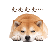 836239658