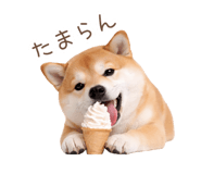 836239660