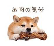 836239661