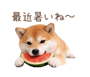 836239662