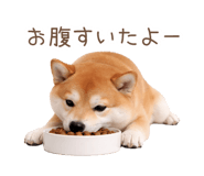 836239664