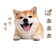 836239666