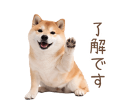 836239667
