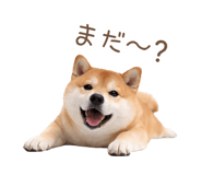 836239668