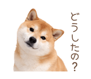 836239670