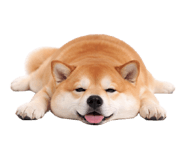 836239672