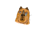 836247702
