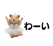 836248885