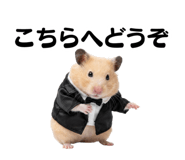 836248915