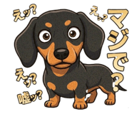836253953