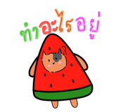 836255194