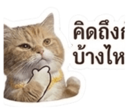 836256047