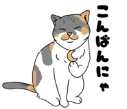 836268062