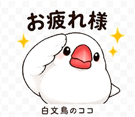 836273743
