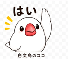 836273746