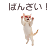 836273954