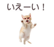 836273955