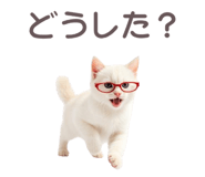 836273973