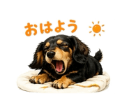 836279641
