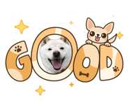836280275