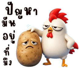 ไก่ซ่าพันธุ์เกรียน รูปที่ 4