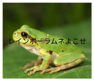 836283394