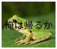 836283402
