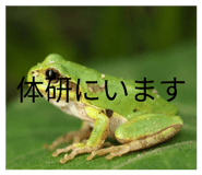 836283411