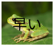 836283416