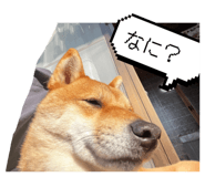 836286846