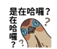 836287025