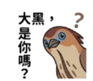 836287031