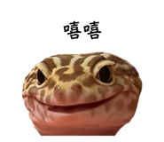836287497