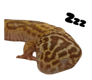 836287500