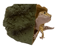 836287504