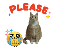 836287505