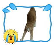 836287510