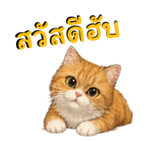 836300169