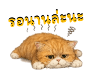 836300178
