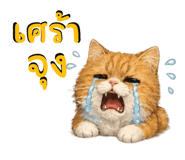 836300181