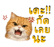 836300183