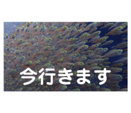836303757