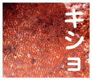 836303768