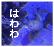836303769