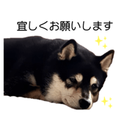 836306683