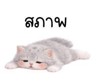 836308528