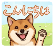 836308651