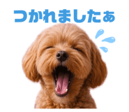 836308965