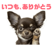 836308993
