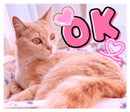 836317320